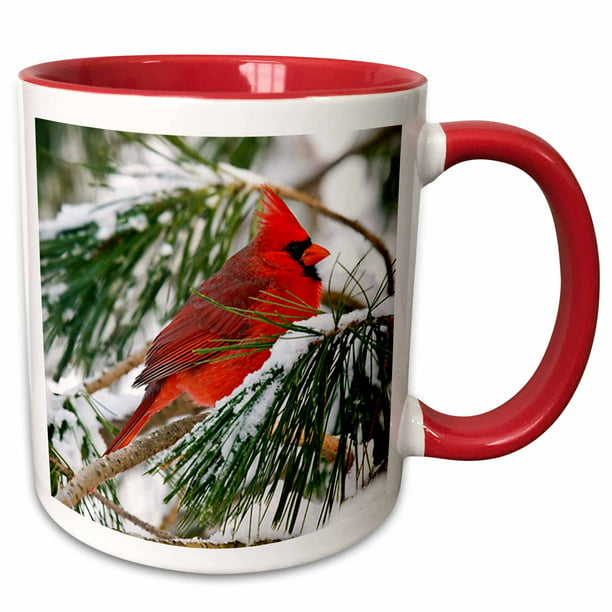 3dRose CST_112146_2 Red and Black Cardinal Perched in Snowy Pine Tree-Soft Coasters Set of 8 